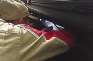 广东企业瞄准绿色建材市场蛋糕